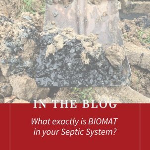 Biomat in Septic Systems
