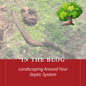 Septic Landscaping